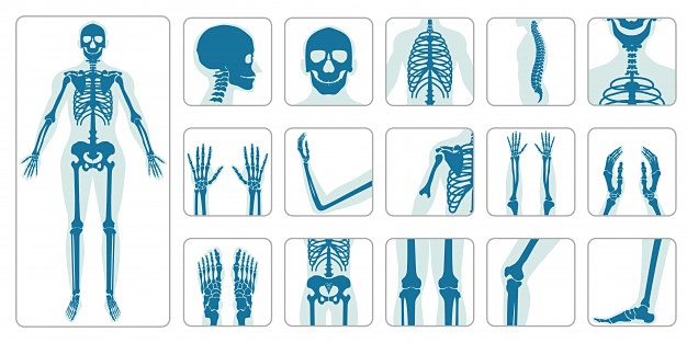 Orthopedic, podiatry and pain management practice support
